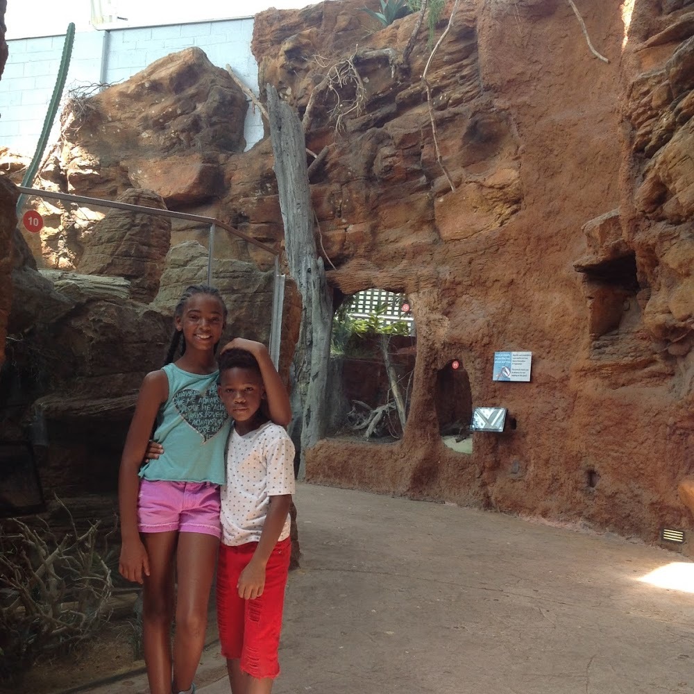 Meet your Posher, Lorenzo